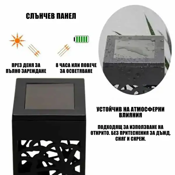 media 21150