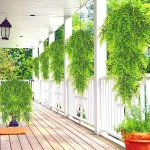 Изкуствен Висящ Папрат (80 см) - FERNY®, izkustven visyasch paprat 80 sm ferny