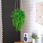 Изкуствен Висящ Папрат (80 см) - FERNY®, izkustven visyasch paprat 80 sm ferny