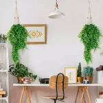 Изкуствен Висящ Папрат (80 см) - FERNY®, izkustven visyasch paprat 80 sm ferny